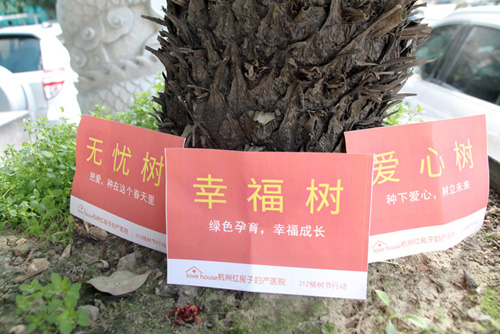 植树节公益 杭州红房子把爱种在春天里
